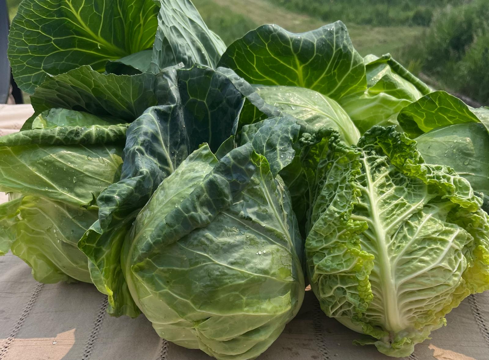 About Farming is Life